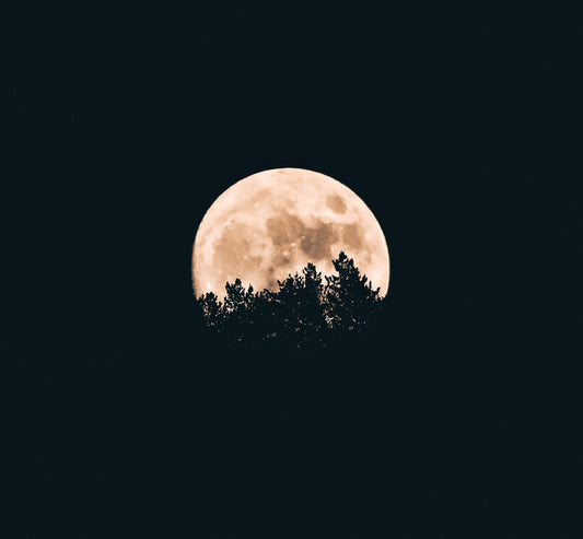 Ancestor Work Beyond Bloodlines: A Guide for Witches